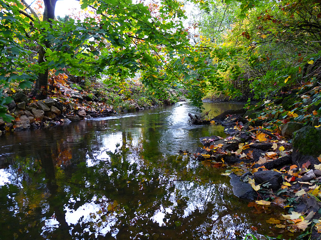 Autumn at Fishtrap Creek Autumn at Fishtrap Creek