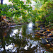 Autumn at Fishtrap Creek