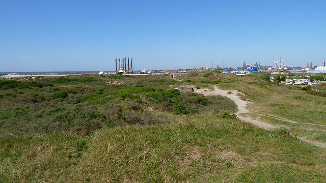 View of the dunes and the harbour of IJmuiden