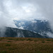 Hurricane Ridge, Olympic National park