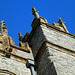 affpuddle church, dorset