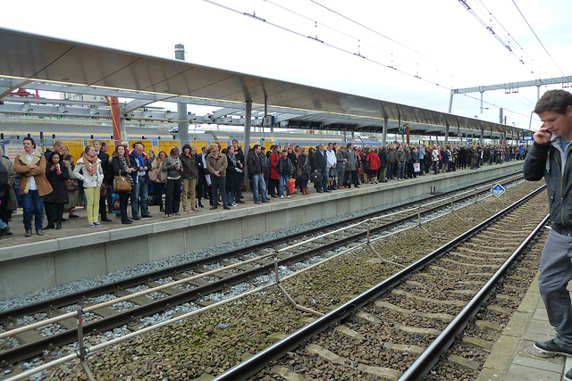 Busy platform at Utrecht Central Station