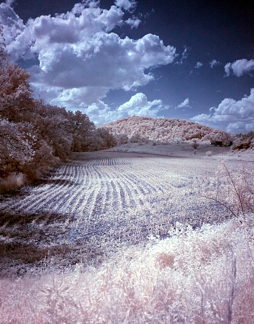 Ohio farm in infrared