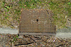 Drain cover of the Gebr. Touw