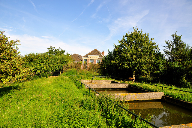 Pumping Station "De Nieuwe Polder" from 1877