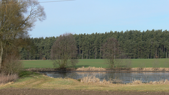 Weihergebiet bei Reuting