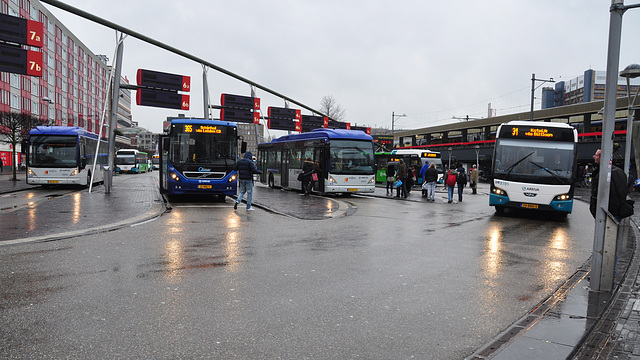 Three bus types