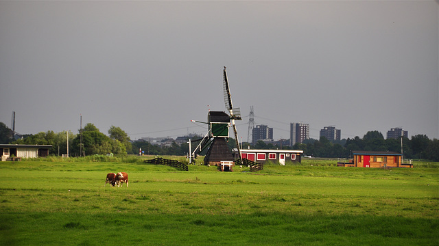 Dutch landscape