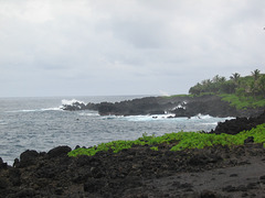 Hawaii, 2006