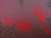 Graffiti on rust