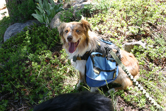 Jill in her pack