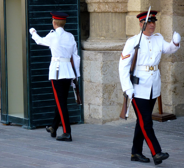 Guarding the President's Palace