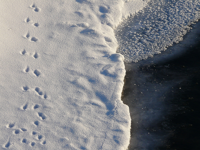 A little corner of winter