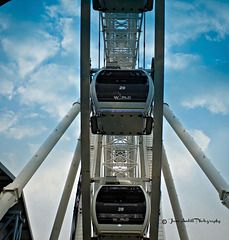 The York Wheel