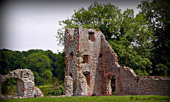 Baconsthorpe Castle,  Norfolk