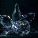 Crystal Orchid