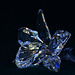 Crystal Orchid