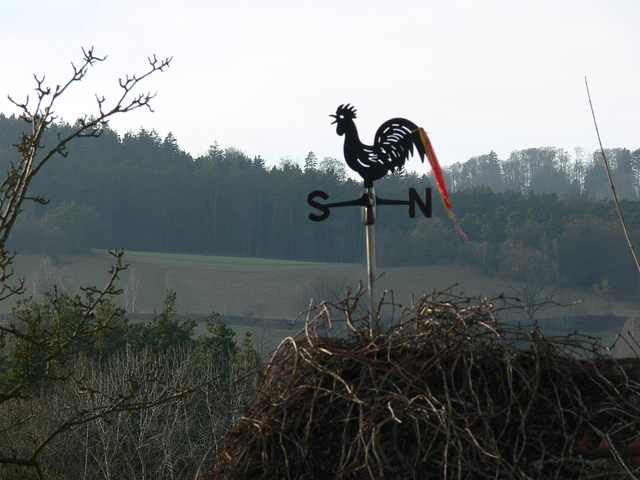 Wetterhahn in Gunt