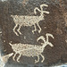 Wanapum Indian Petroglyphs