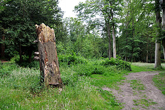 Park surrounding the Huys te Warmont