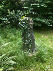 Alter Friedhof Wambel