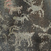 Wanapum Indian Petroglyphs