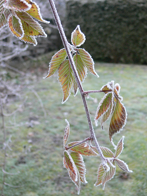 ein bisschen Winter