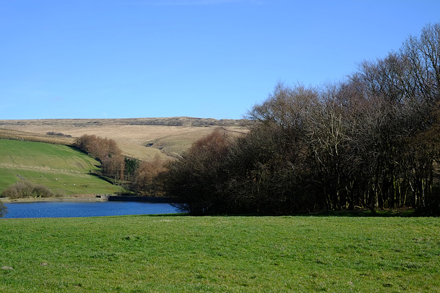 Cock Hill & Cat Wood