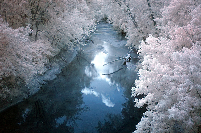 Woodland stream on an IR day