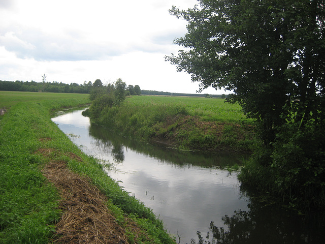 Buschgraben bei Dornswalde