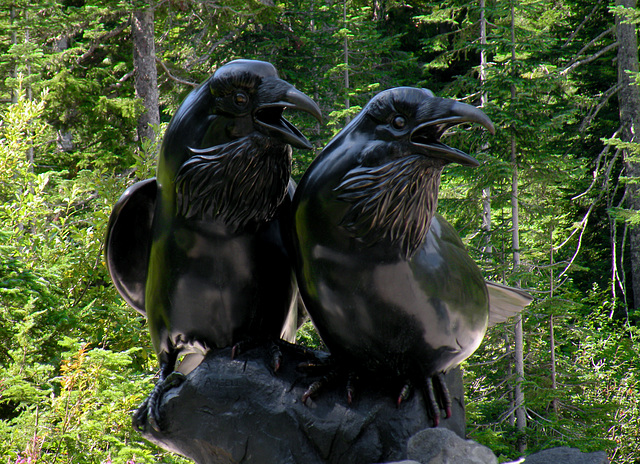Ravens Ravens