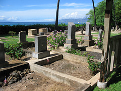 Hawaii, 2006