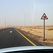 Dubai 2012 – Warning for Camels