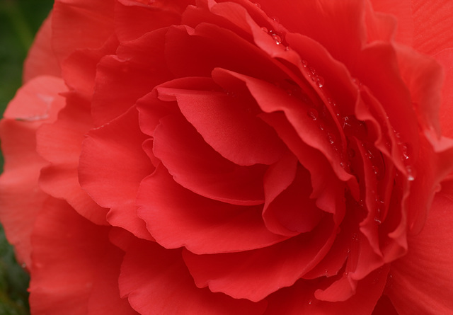 "From his eyes of flame, ruby tears there came." William Blake "From his eyes of flame, ruby tears there came." William Blake