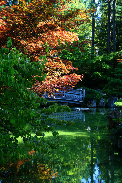 Japanese Gardens