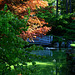 Japanese Gardens