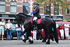 Leidens Ontzet 2011 – Parade horse