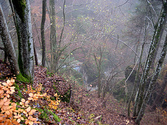 "Wanderung im Nebel" - Spaziergang auf den Predigtstuhl