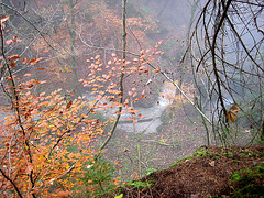 "Wanderung im Nebel" - Spaziergang auf den Predigtstuhl