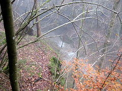 "Wanderung im Nebel" - Spaziergang auf den Predigtstuhl