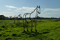 See-through horses