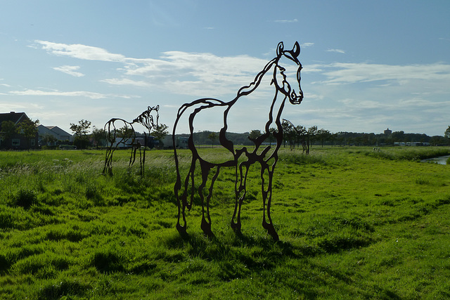 See-through horses