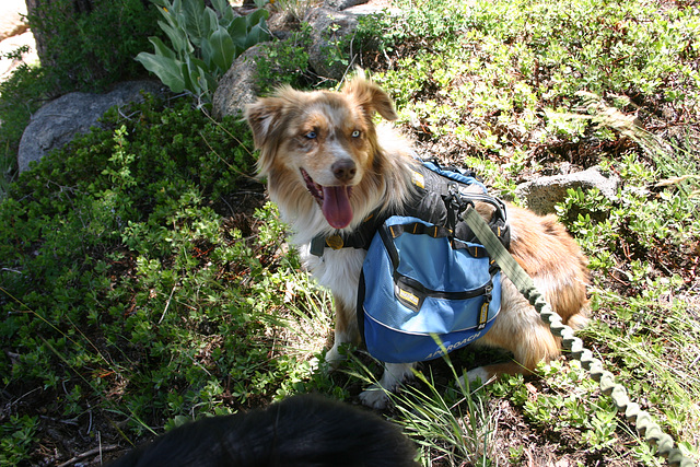 Jill in her pack