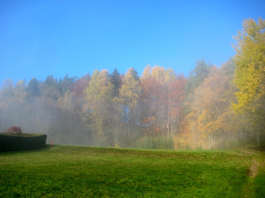 "Wanderung im Nebel" - Spaziergang auf den Predigtstuhl