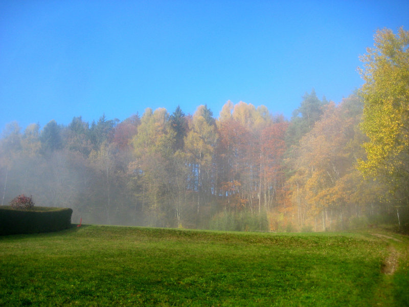 "Wanderung im Nebel" - Spaziergang auf den Predigtstuhl