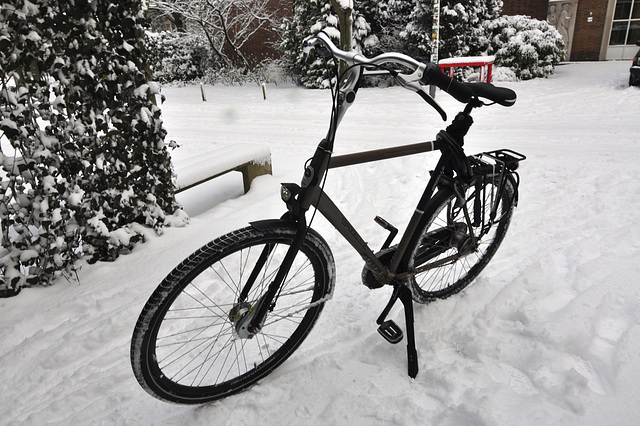 My bicycle waiting to be shedded