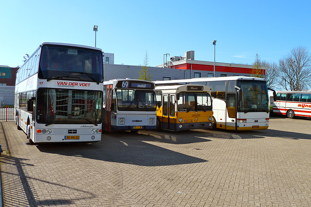 Some buses