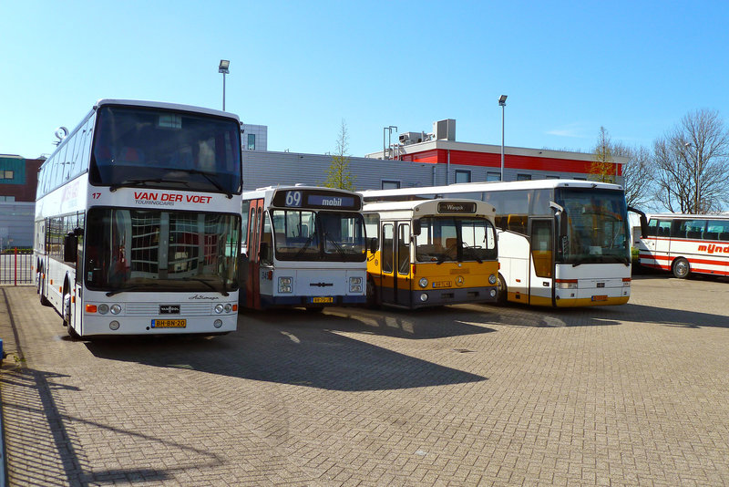 Some buses