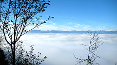 "Wanderung im Nebel" - Spaziergang auf den Predigtstuhl