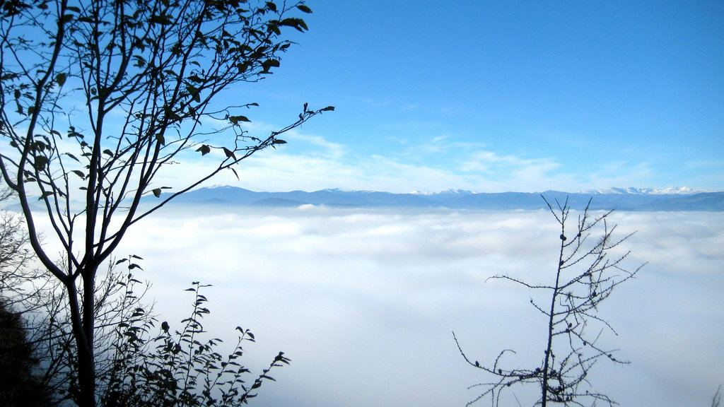 "Wanderung im Nebel" - Spaziergang auf den Predigtstuhl